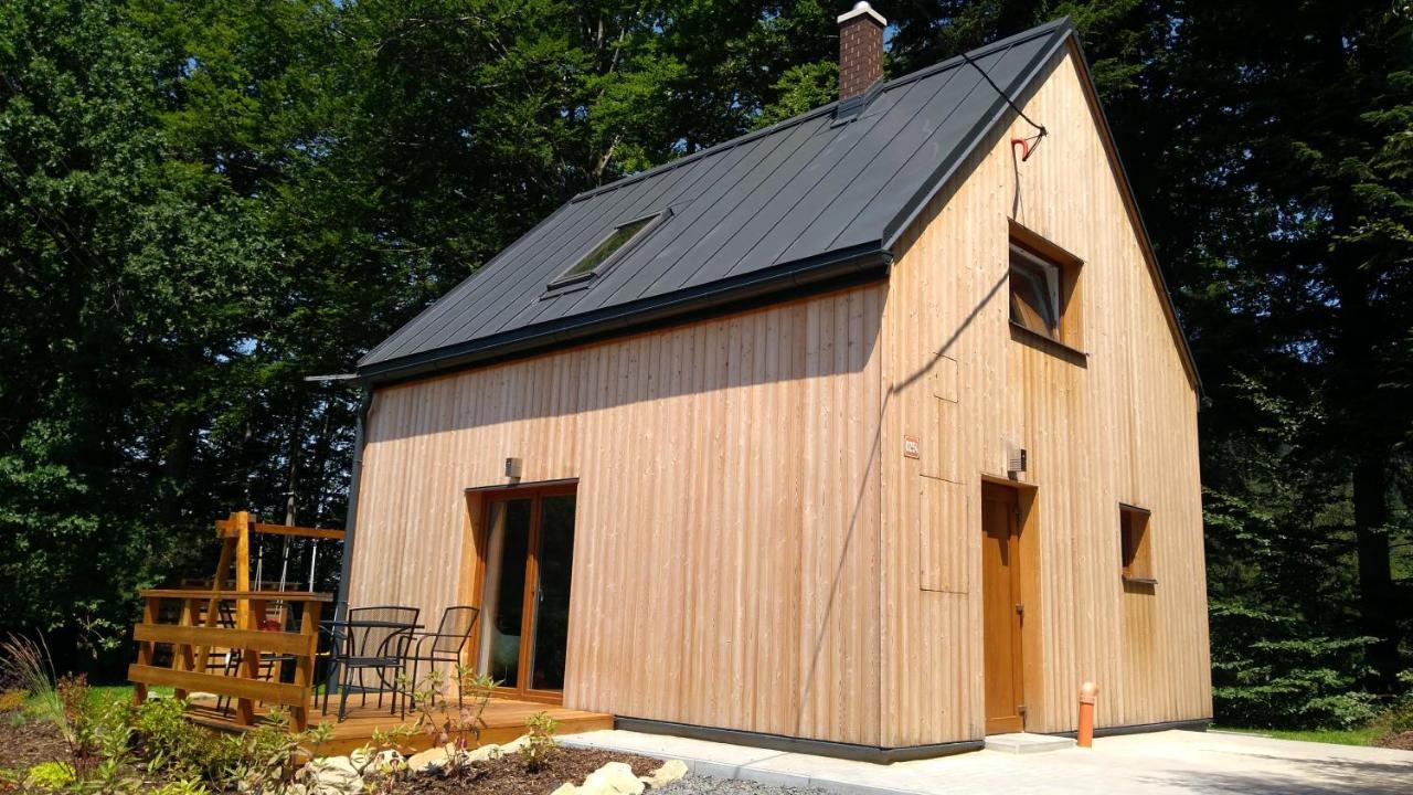 Na Sjezdovce Lodge