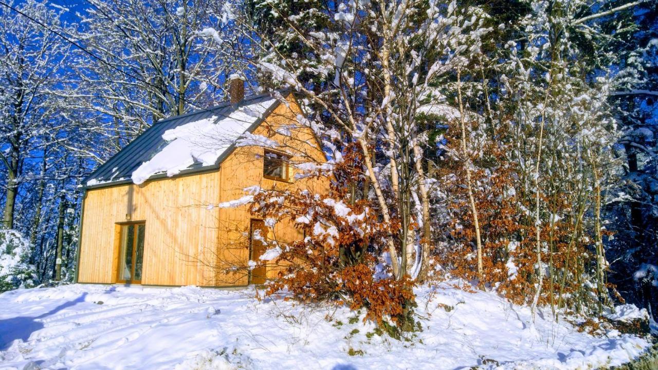 Na Sjezdovce Lodge Malenovice (Moravia-Silesia)