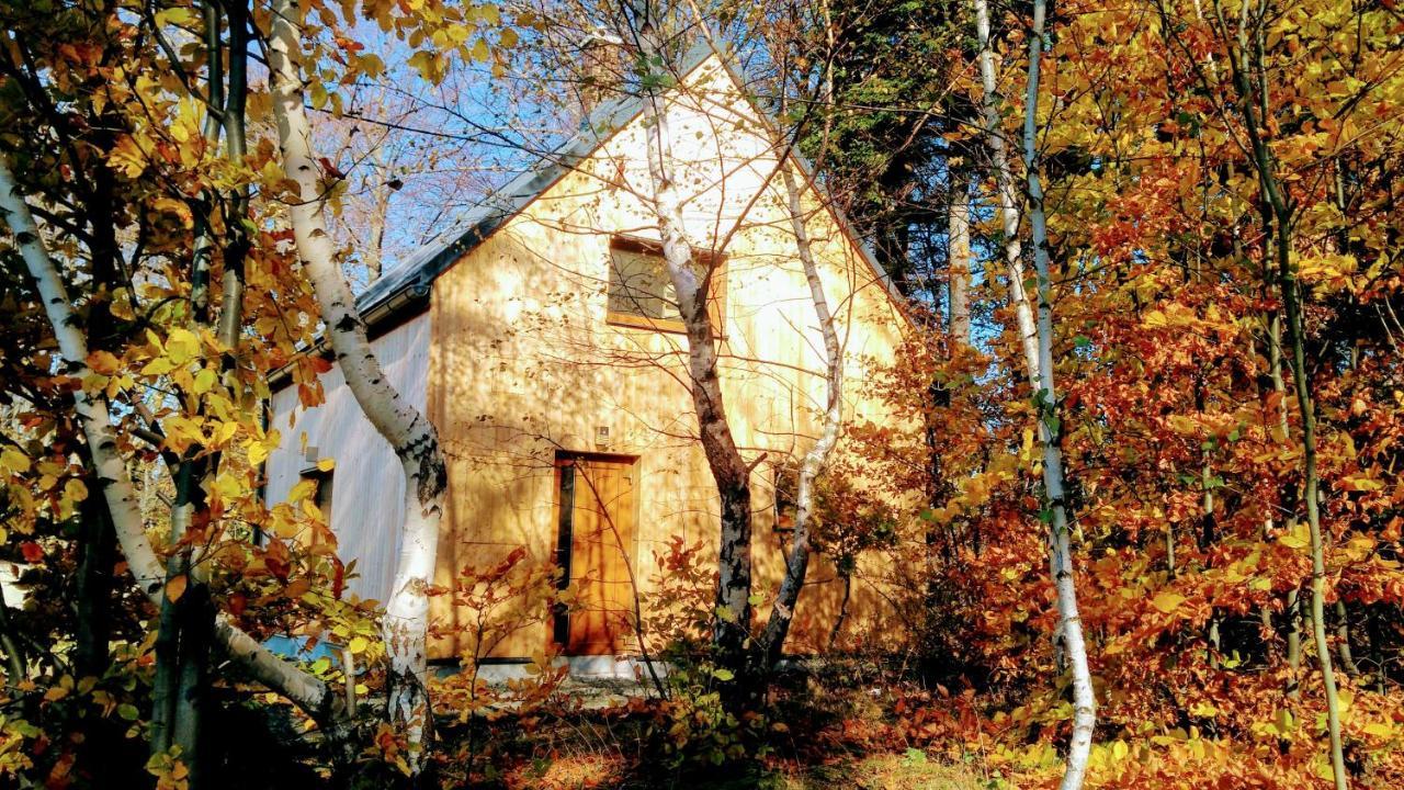 Lodge Na Sjezdovce