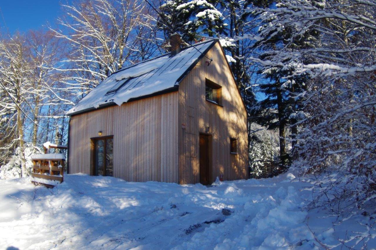 Na Sjezdovce Lodge